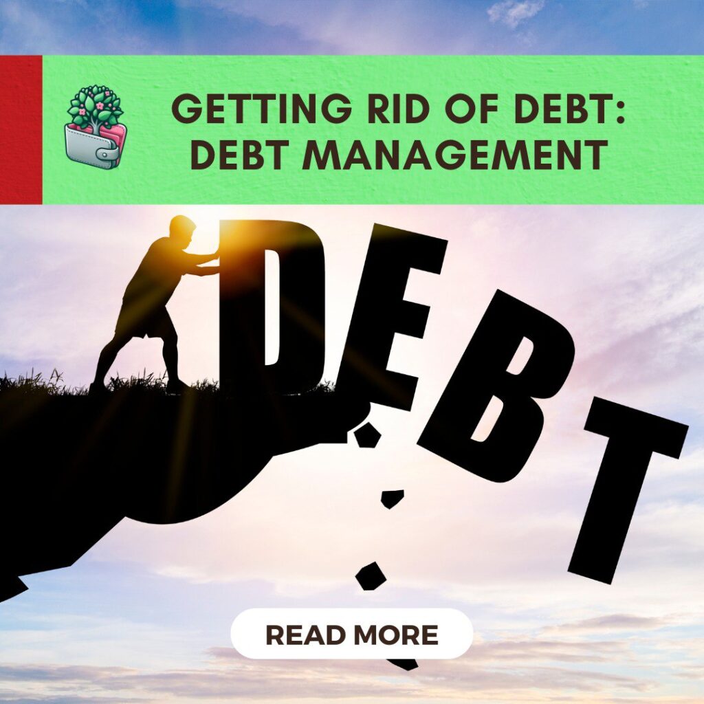 debt management strategies