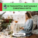 sustainable christmas gifts